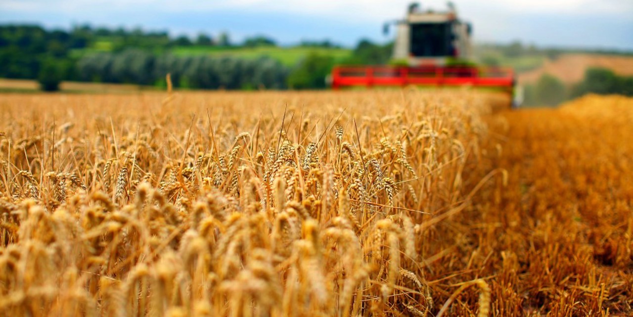 Moldova’s government to provide financial support to small farmers