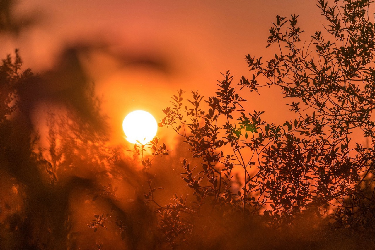 Moldova faces heatwave with high fire risk and fluctuating rivers