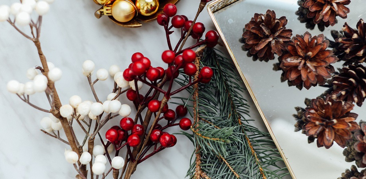 Membrii Guvernului au primit colindători, găzduind și o expoziție cu lucrări făcute de copiii dintr-un centru de plasament