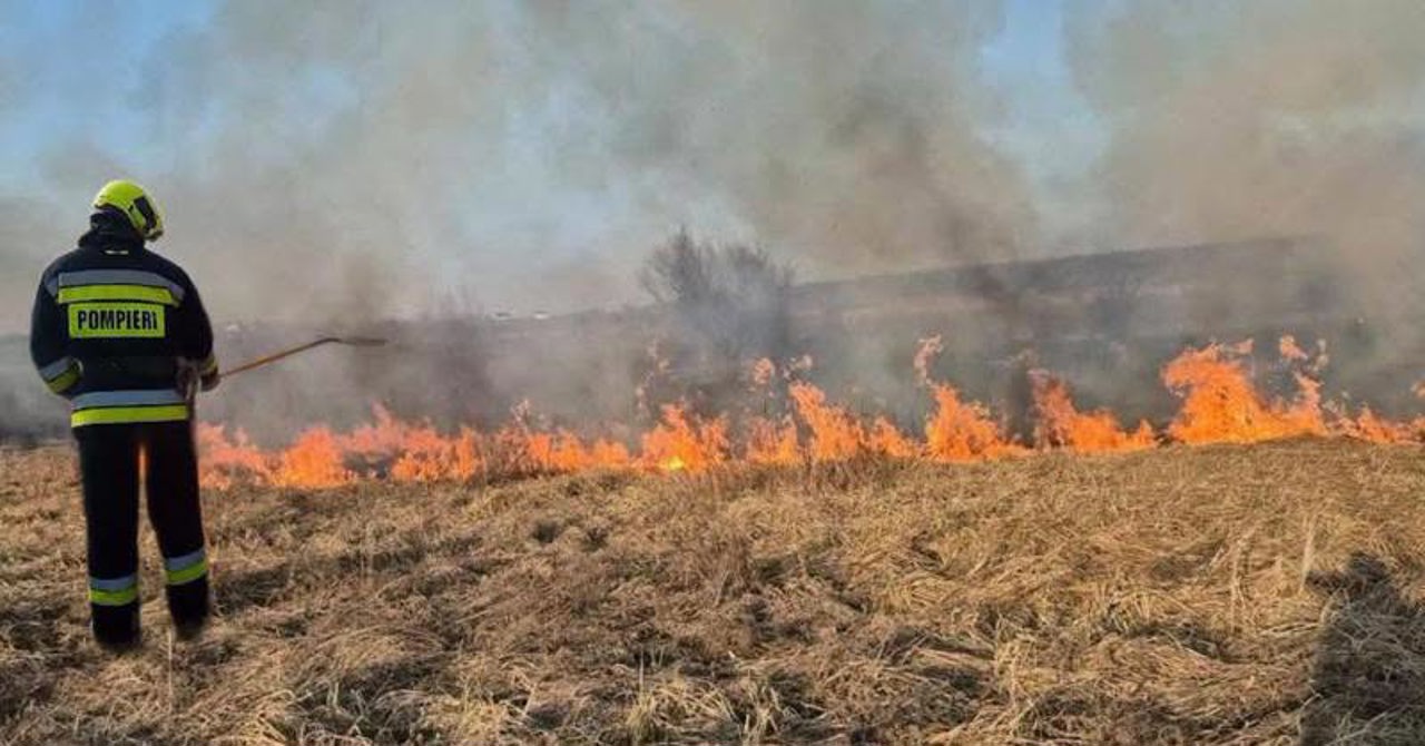 За последние сутки в Молдвое произошло более 40 возгораний сухой травы
