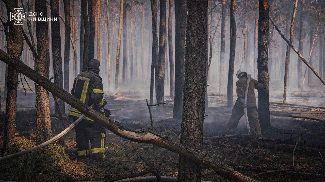 В зоне отчуждения Чернобыльской АЭС тушат лесной пожар