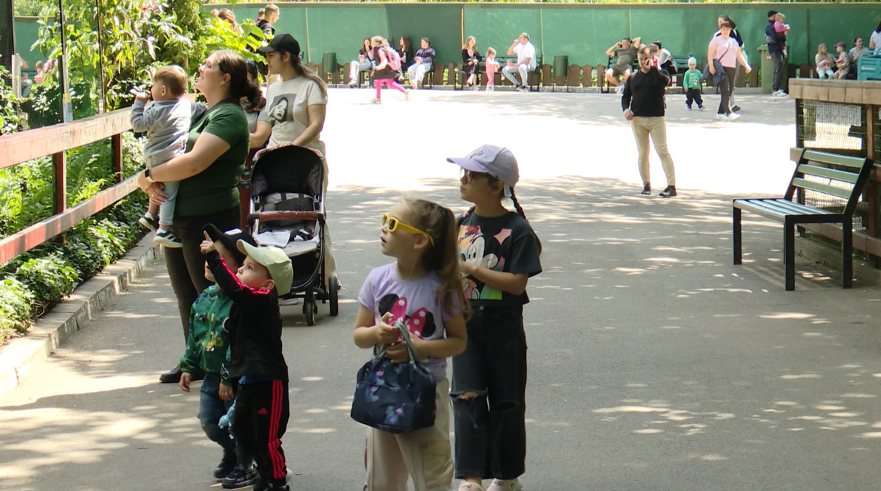 Vacanța a început: bucurie pentru copii, responsabilitate pentru adulți