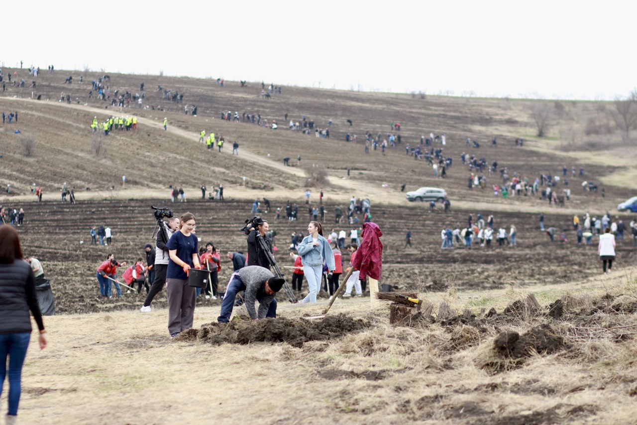 Peste 33 de milioane de puieți, pregătiți pentru plantare în această toamnă: autoritățile îndeamnă toți cetățenii să participe la campania de împădurire