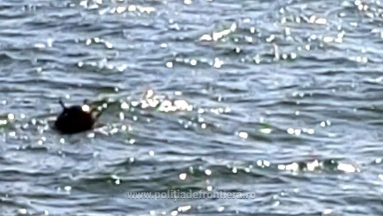 România, Bulgaria și Turcia vor încheia un acord pentru deminarea în comun a Mării Negre 