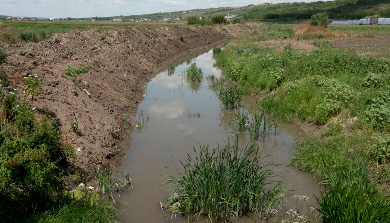 Criză hidrologică | Numeroase râuri mici au secat. Fenomenul, provocat de mai mulți factori, explică ecologiștii  