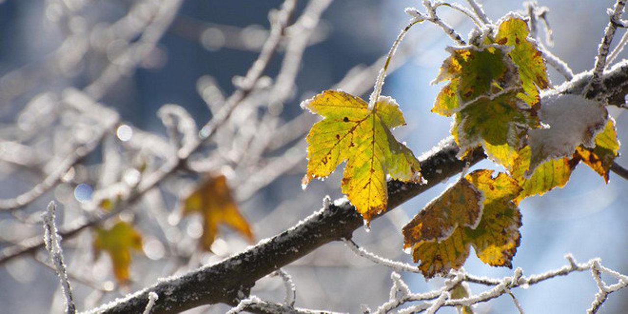 Cod galben de schimbare bruscă a vremii. Temperatura medie a aerului va scădea cu 5-7 grade Celsius