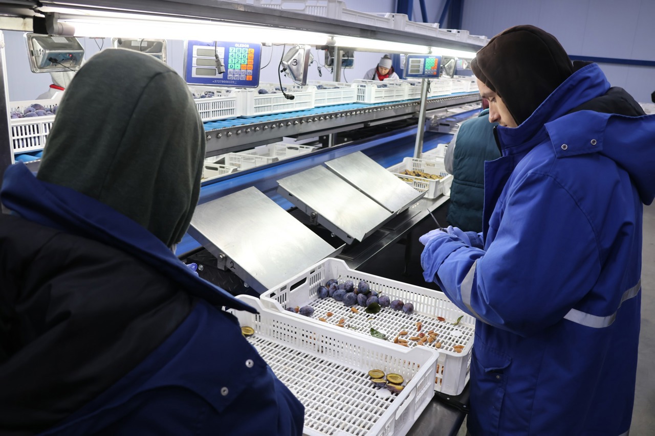 Deficit comercial de 7 miliarde de dolari în 2025: exporturile au crescut cu 6.4%, pe fondul majorării importurilor cu peste 20%