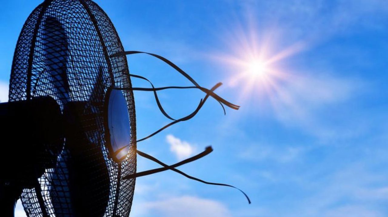 В Республике Молдова установилась сильная жара: Гектары сельскохозяйственных культур и сухой растительности уничтожены пламенем