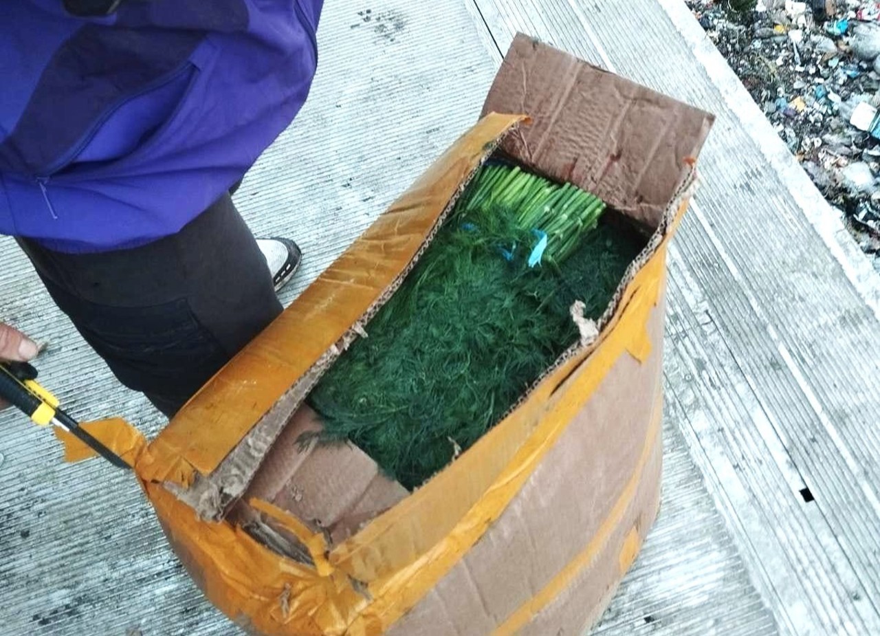 Mărar periculos: ANSA retrage un lot cu depășiri de pesticide