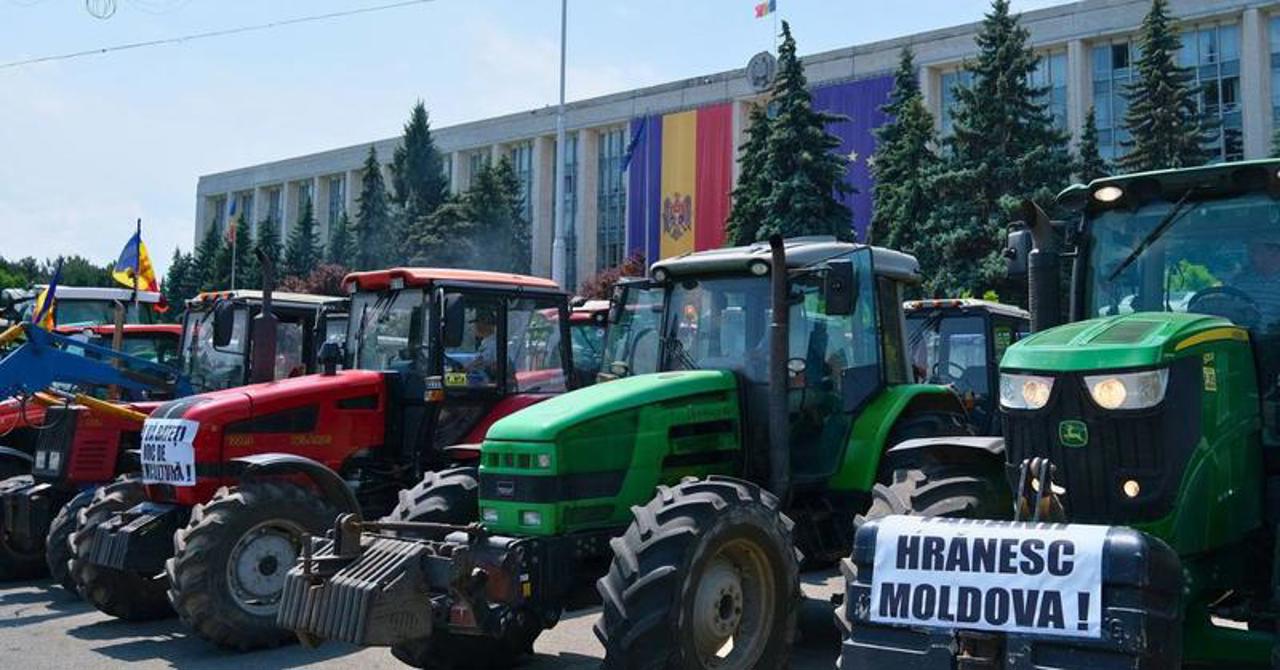 Moldova farmers pivot: Fruit thrives as cereals face headwinds