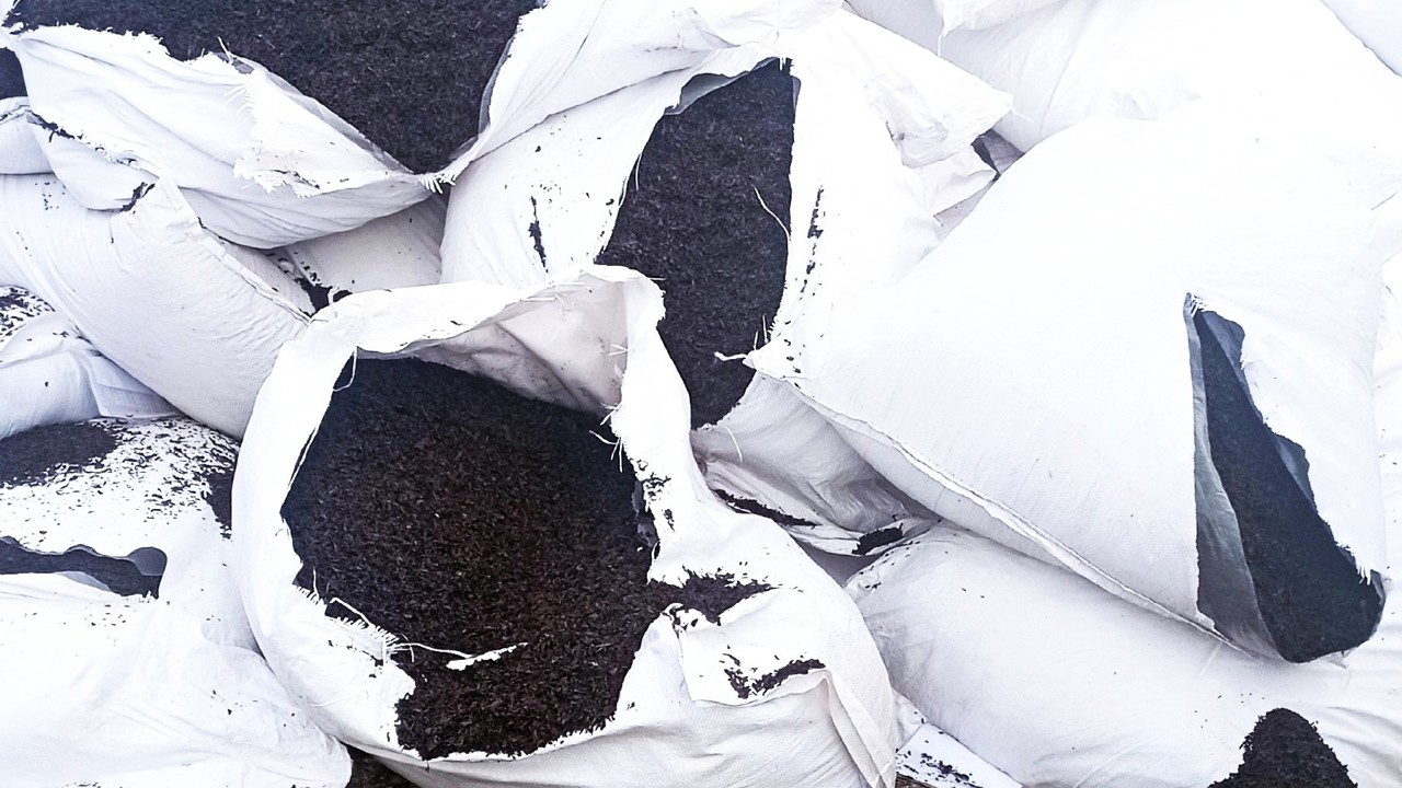 ANSA a nimicit 1.1 tone de ceai negru: conținea cantități ridicate de reziduuri de pesticid 