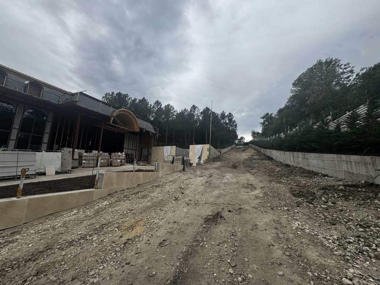 Pădurea „Doina”, ciopârțită pentru a face loc unui restaurant construit ilegal: Prejudiciu de milioane 