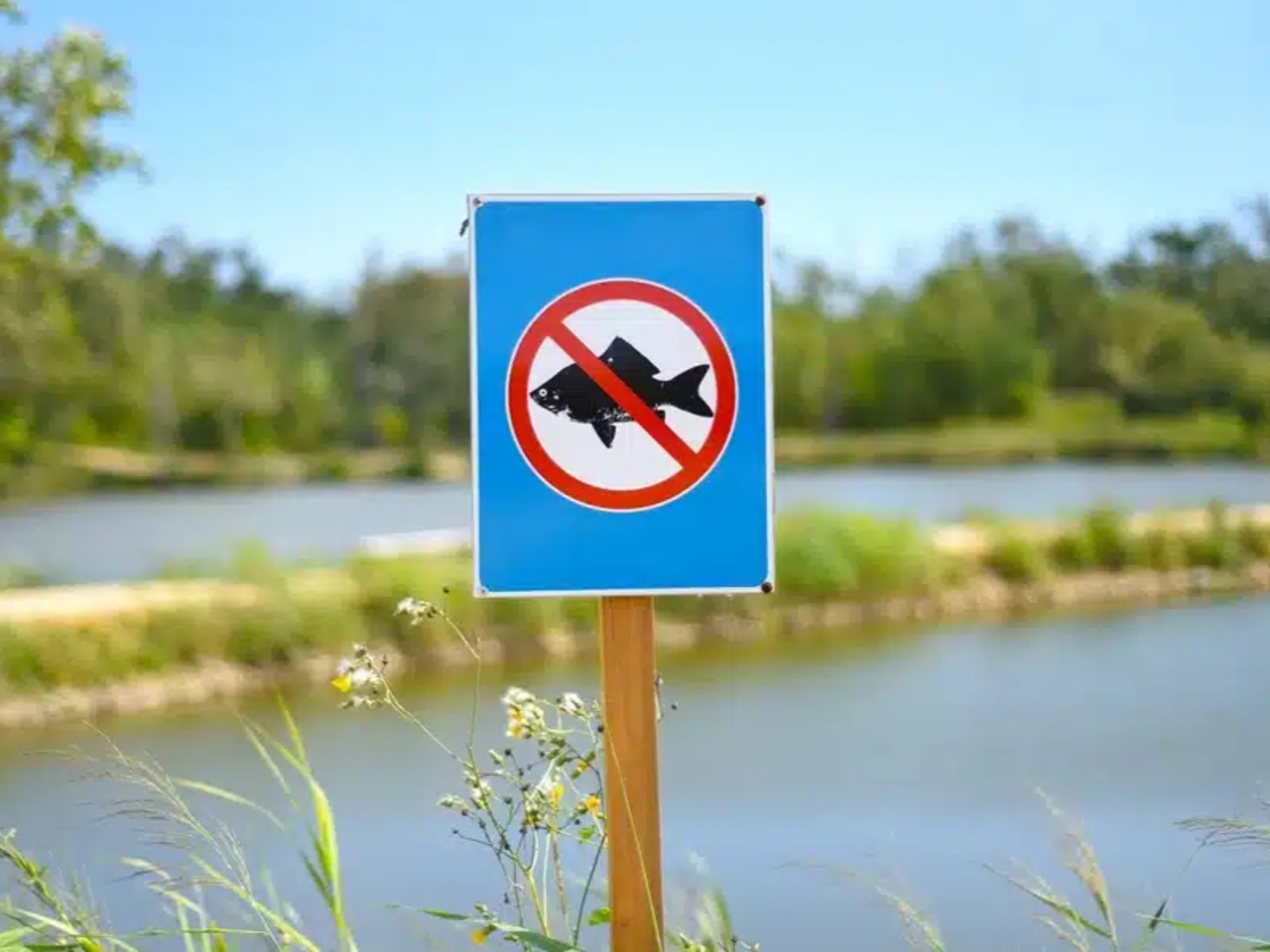 ORDIN | Prohibiție la pescuit, de la 1 aprilie: Restricții pe principalele râuri și lacuri din R. Moldova