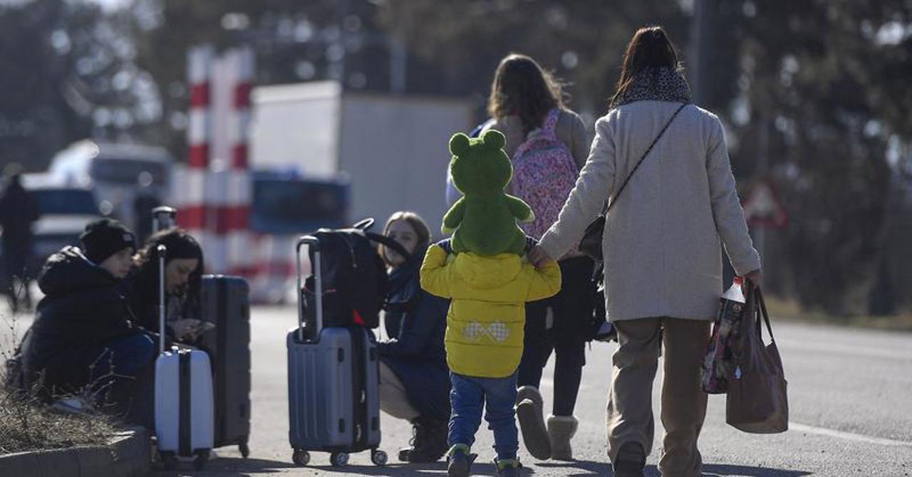 Самые частые запросы украинских беженцев в 2023 году