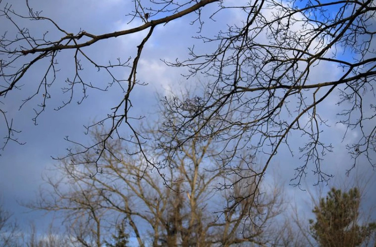 Vreme primăvăratică de Crăciun. Potrivit meteorologilor, mercurul din termometre va urca până la 9 grade Celsius