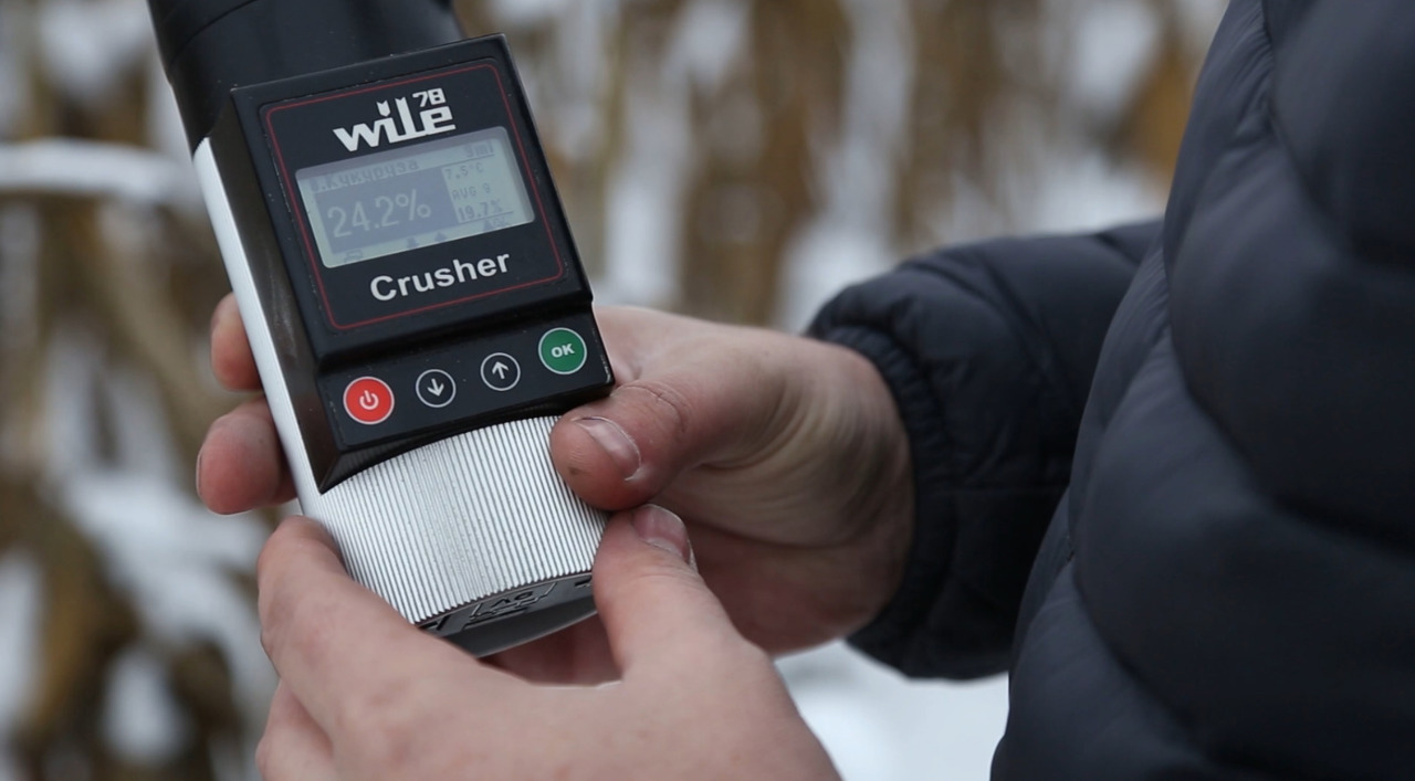 Prolonged rainfall poses threat to corn harvest. Small farmers most affected
