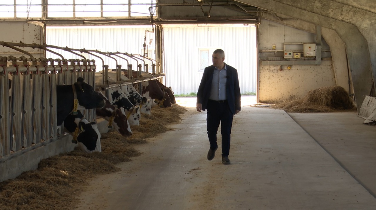 Subvențiile și tehnologia cresc producția de lapte în R. Moldova. Exemplul unei ferme din Horești, Ialoveni