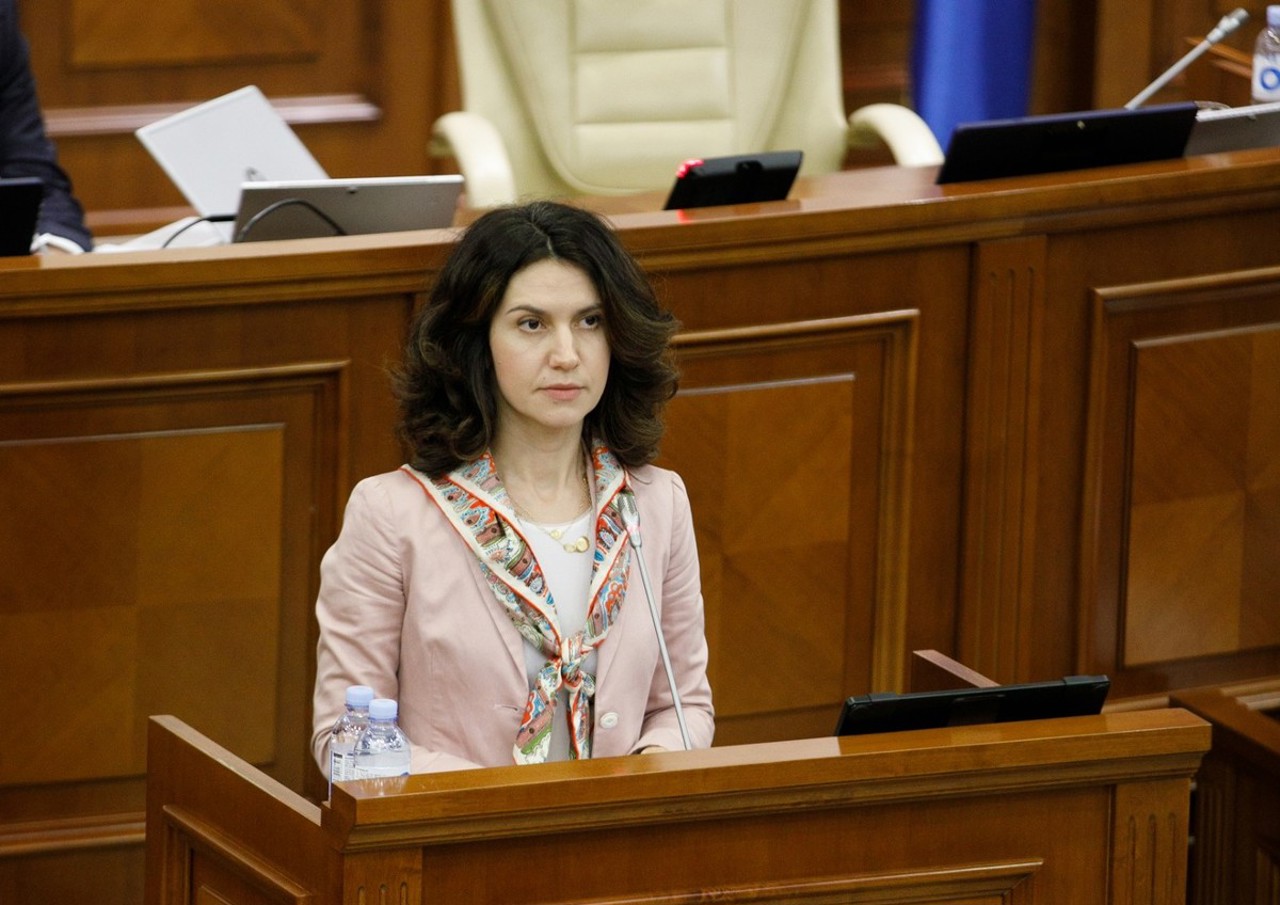 Олеся Стамате: ВСM станет функционировать с членами гражданского общества