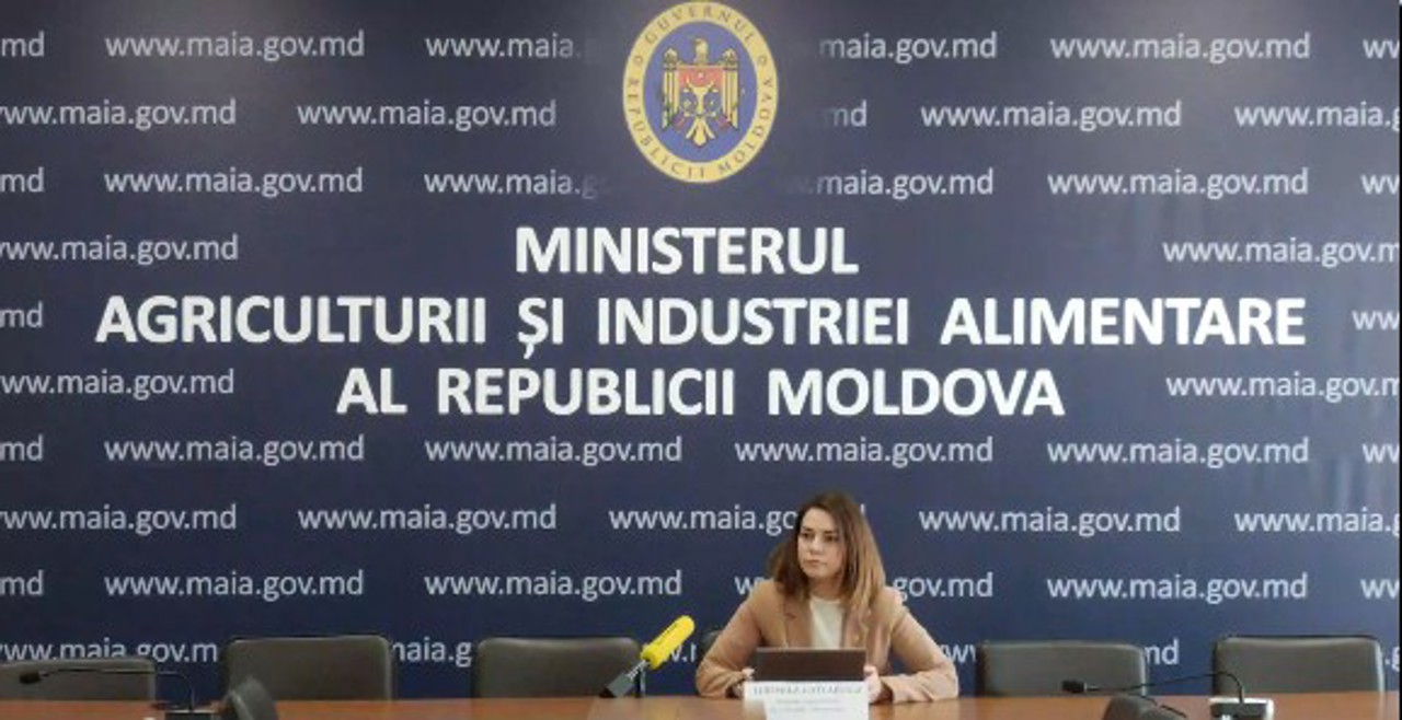 Глава Минсельхоза: Фермерам, пострадавшим от весенних заморозков 2025 года, выделят 100 миллионов леев