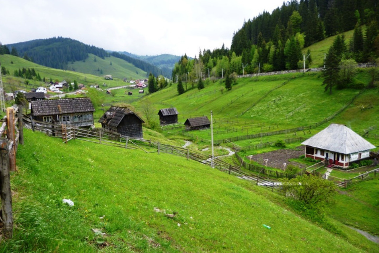 Verdele Bucovinei și aromele plantelor de munte, păstrate de o familie originară din Republica Moldova