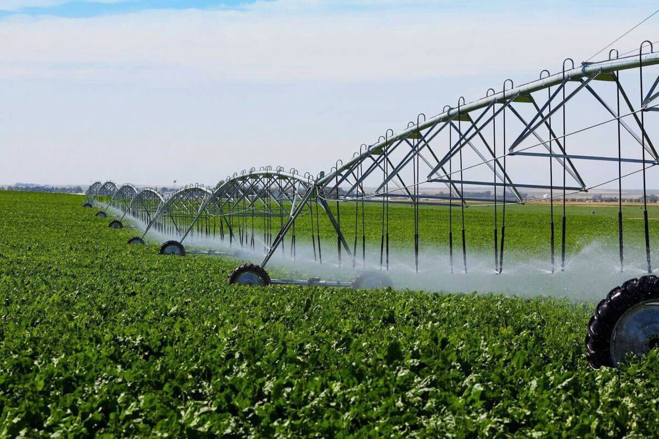 Doar 1.6% din terenurile agricole din R. Moldova sunt irigate: Fără apă, nu vor fi competitivi în UE, avertizează experții