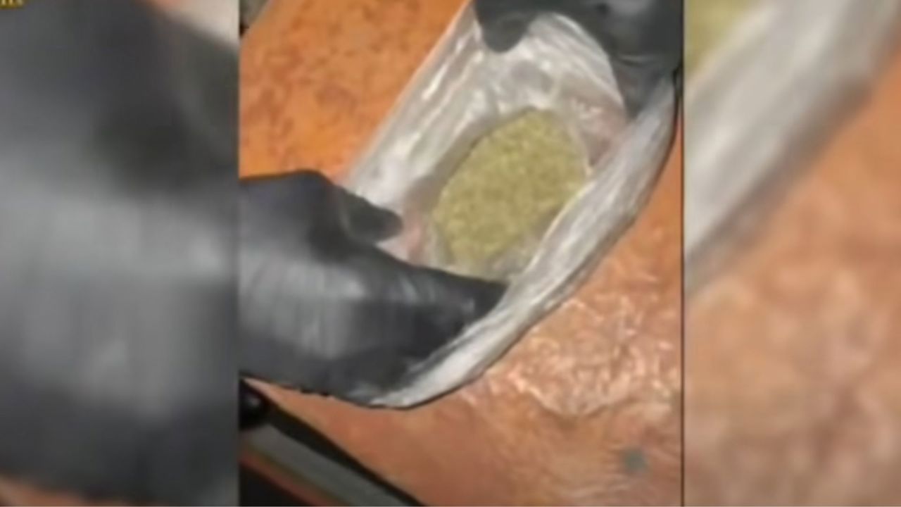 Percheziții la Drochia: Marijuana, dispozitive pentru consumul de droguri și o armă, ridicate de la trei suspecți