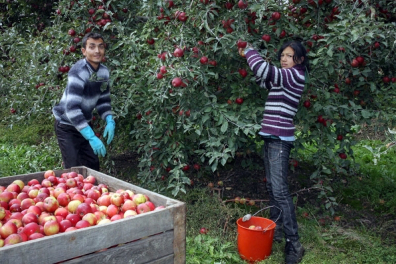 Un bărbat din Călărași a fost condamnat la 15 ani de închisoare pentru trafic de minori