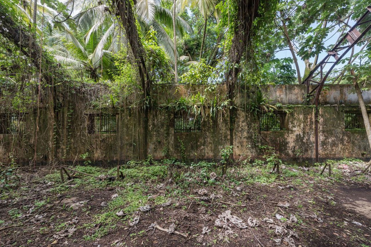 Corespondență Dan Alexe // Întoarcerea lui „Papillon”: Franța vrea să redeschidă penitenciarul din Guyana