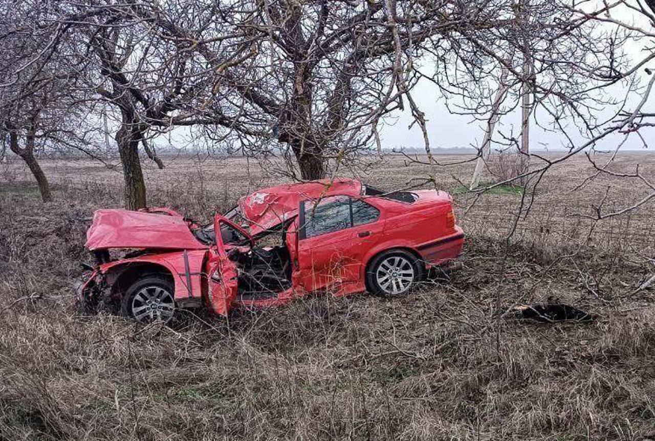 Fatal crash in the south: one dead, two injured after car hits tree