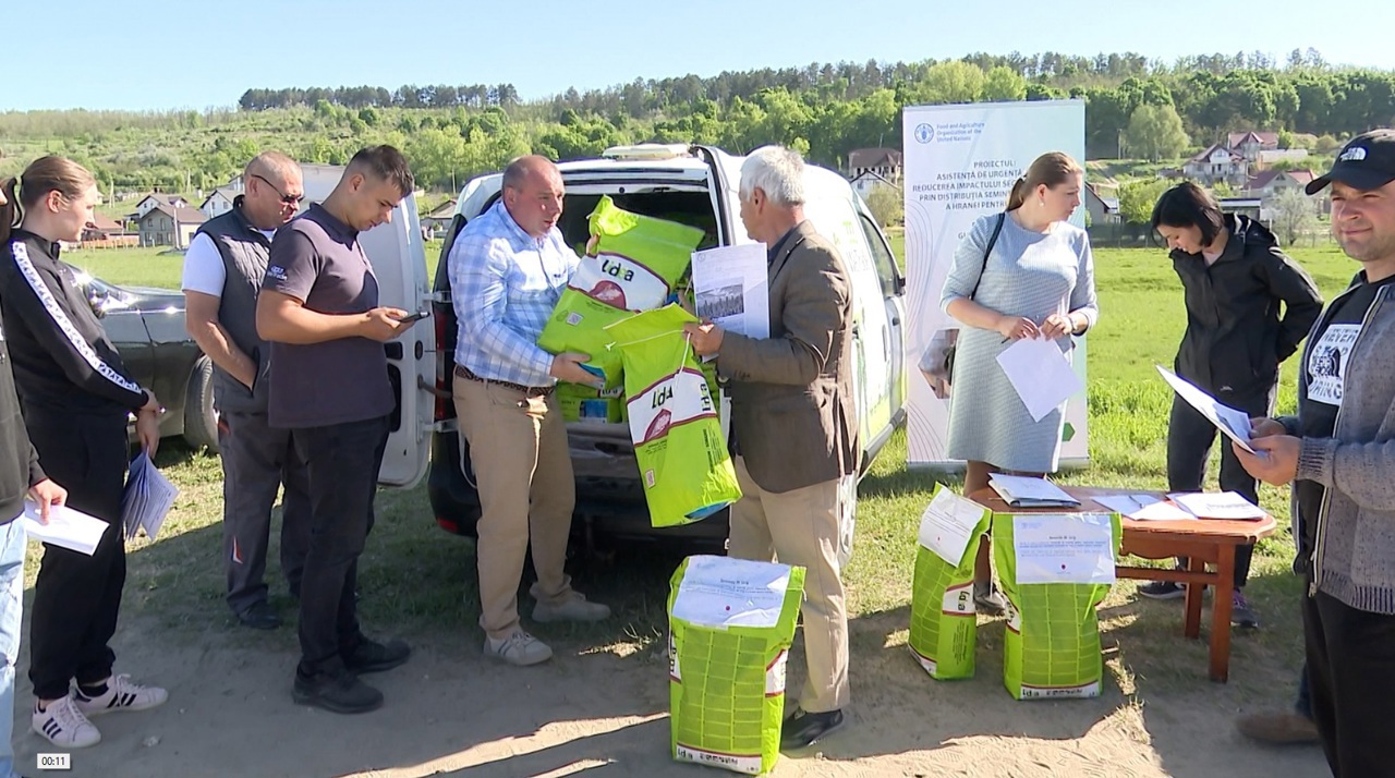 Фермеры в пострадавших от засухи районах Молдовы получили семена сорго при поддержке Японии и ФАО