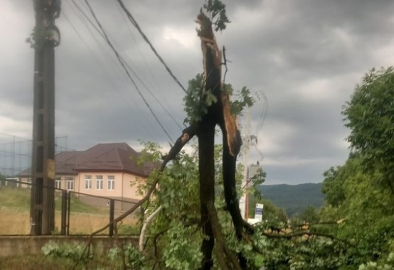 O furtună puternică a făcut ravagii în Maramureș. Un bărbat a murit lovit de fulger, iar o pădure de brazi a fost pusă la pământ
