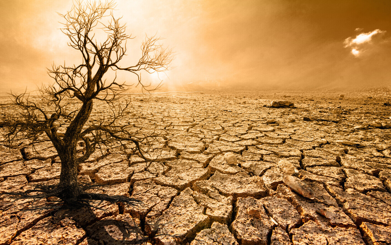 Исследование: Мир может превысить порог глобального потепления в 1,5 градуса Цельсия через 7 лет