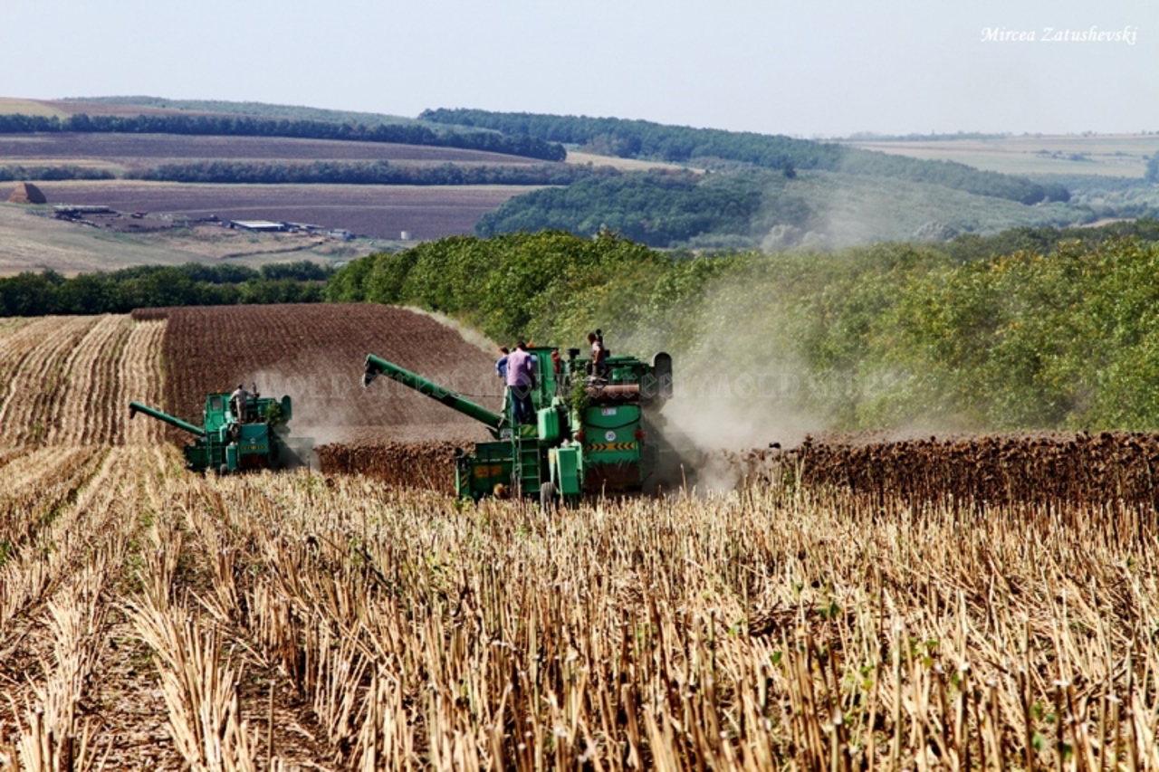 Subvenții pentru agricultură: La 5 iunie, Ministerul Agriculturii și Guvernul vor semna cu Banca Mondială un credit de 55 de milioane de dolari   