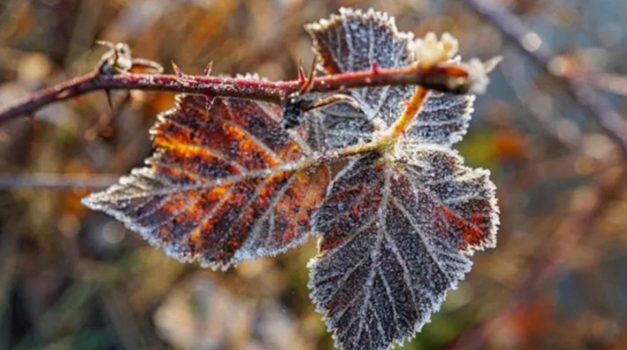 Înghețuri izolate în nordul și centrul țării. Ce temperaturi sunt prognozate pentru următoarele 24 de ore