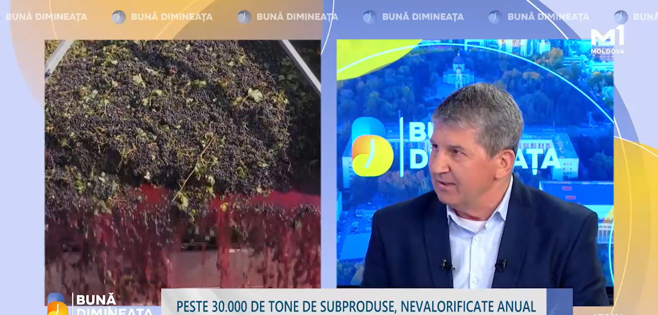 Deșeurile vitivinicole transformate în resursă economică: Cercetătorii din R. Moldova dezvoltă soluții pentru industria sănătății