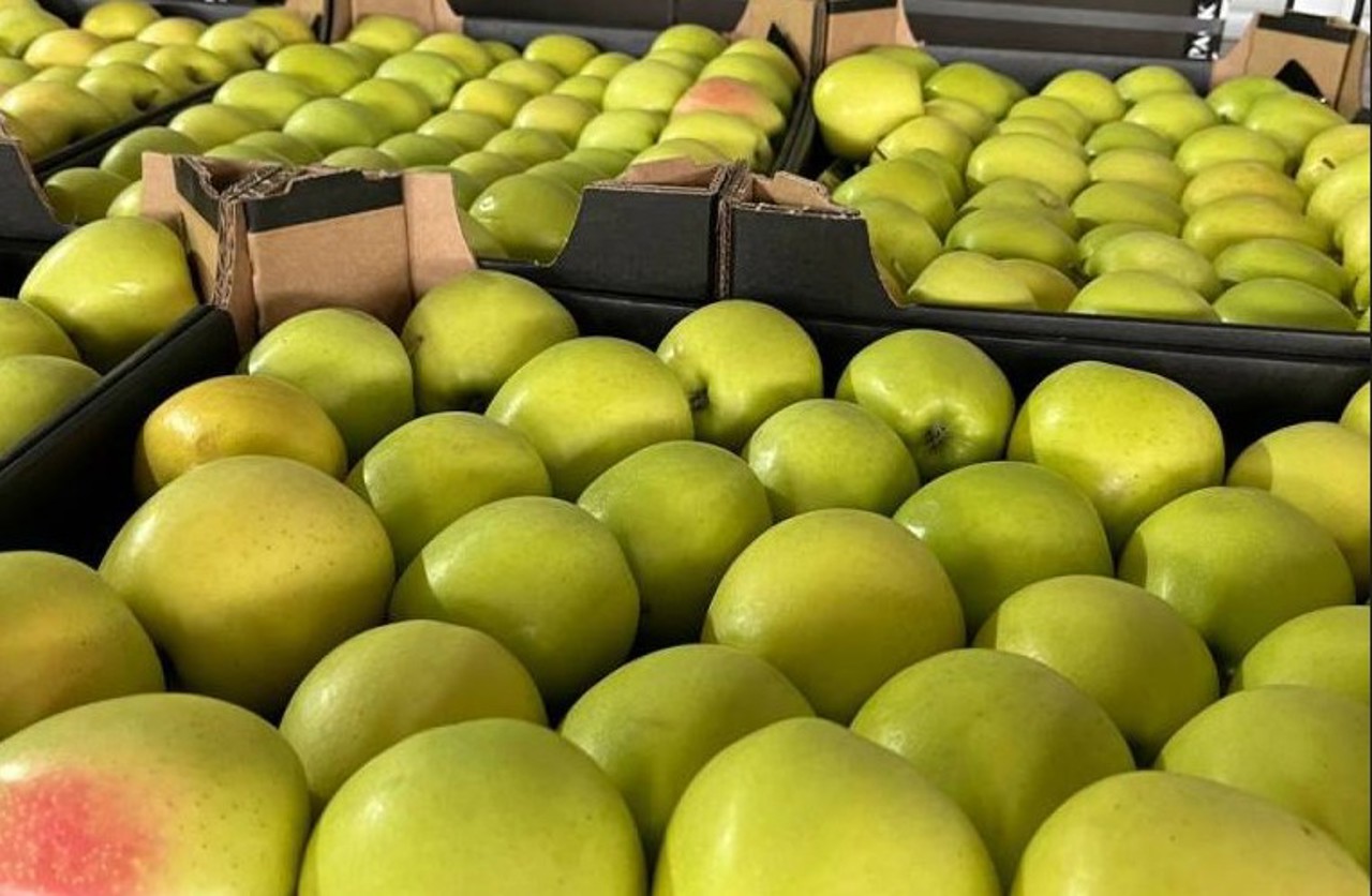 Rusia a interzis importul a peste 20 de tone de mere din R. Moldova 