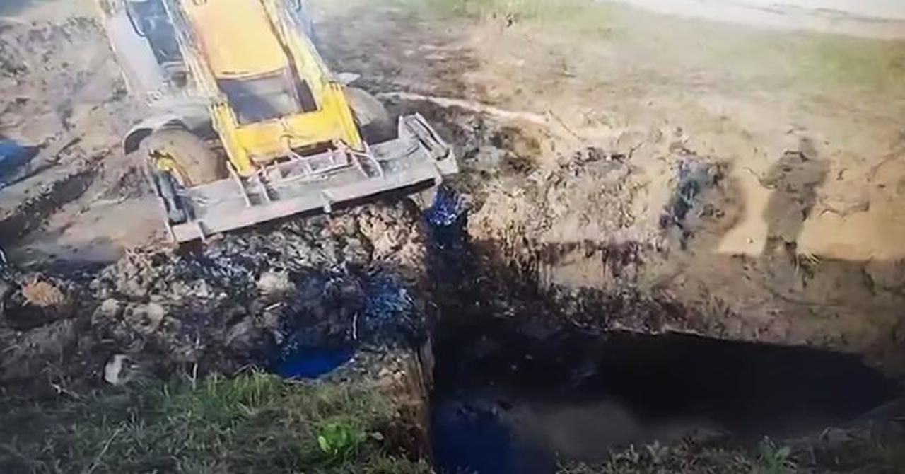 Уровень содержания нефтепродуктов в загрязненной мазутом почве значительно превышает предельно допустимую концентрацию