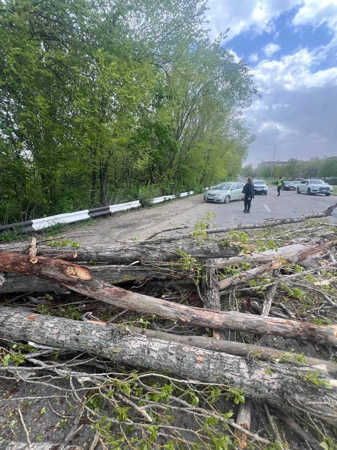 Ураган в Молдове: в Кишиневе дерево упало на ребенка, часть сел остались без света, в аэропорту возможны задержки рейсов