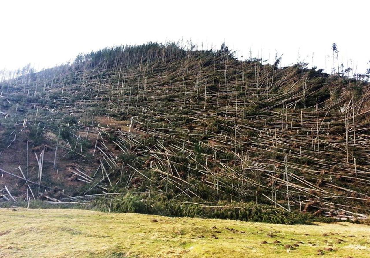 Deadly Windstorm Strikes Poland: Five Lives Lost