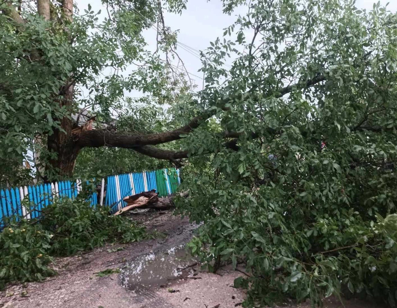 Moldova Battered by Severe Weather: Homes, Roofs Damaged