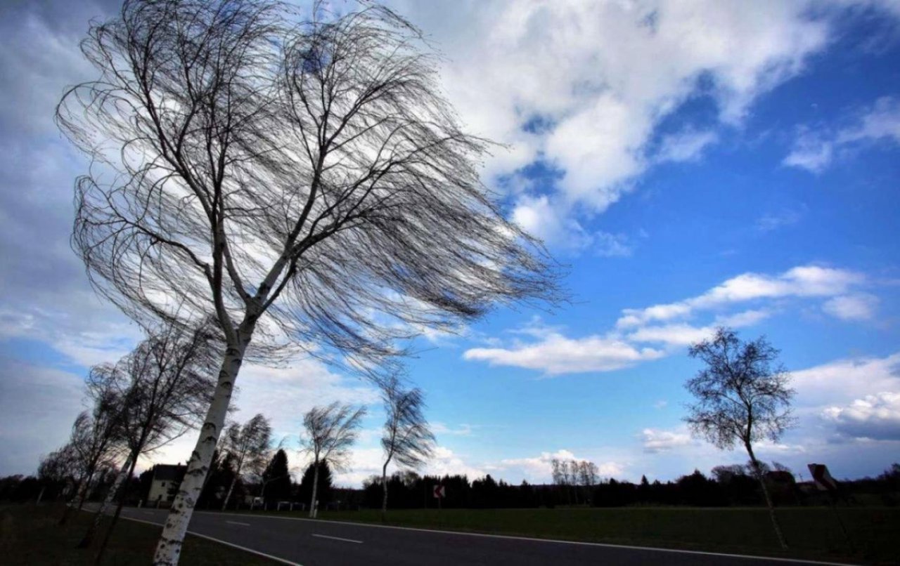 Vântul puternic face ravagii: Copaci doborâți și acoperișuri smulse în mai multe localități din nordul R. Moldova