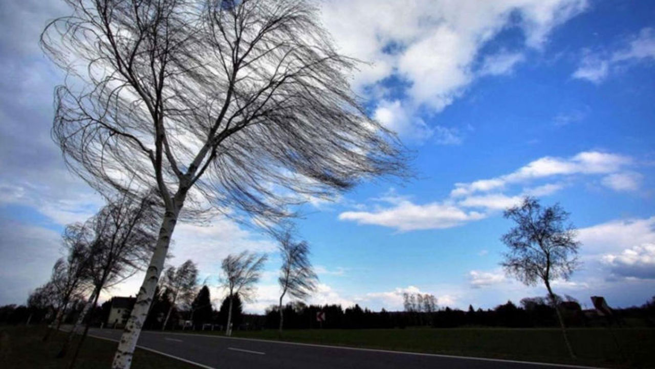 Meteorologii au emis cod galben de vânt puternic în toată țara