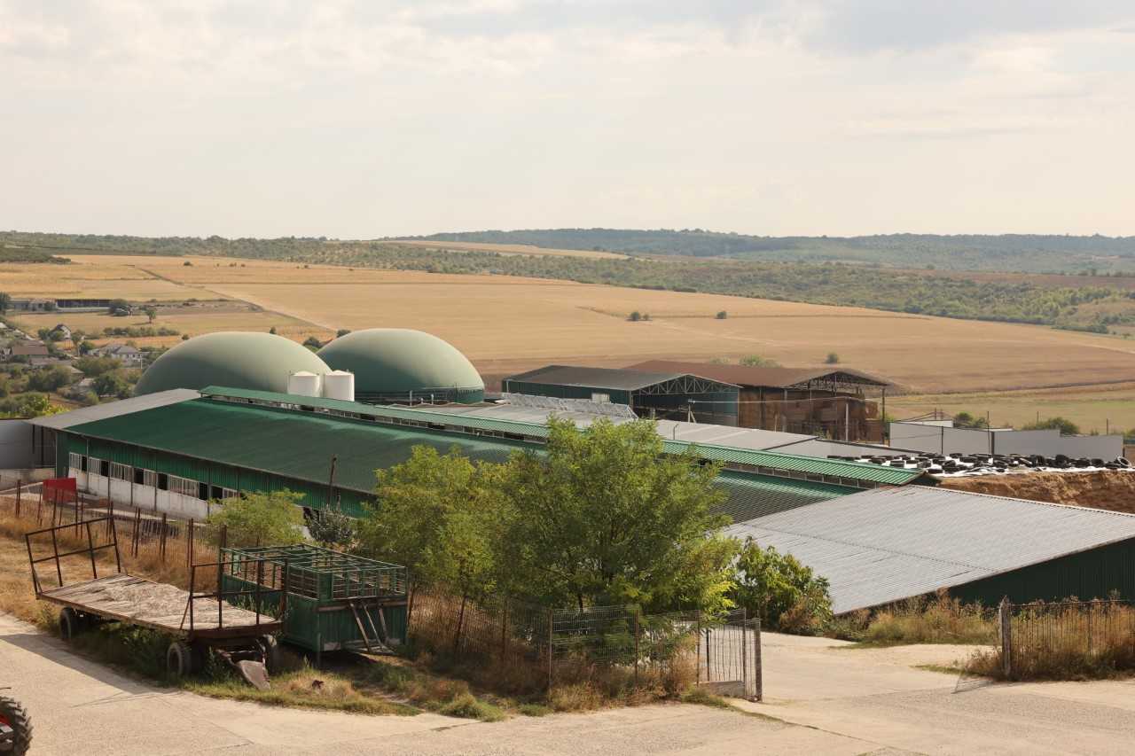 Biogaz produs din bălegar și transformat în energie electrică, la Fârlădeni: Urmează producerea bioetanolului din sorg