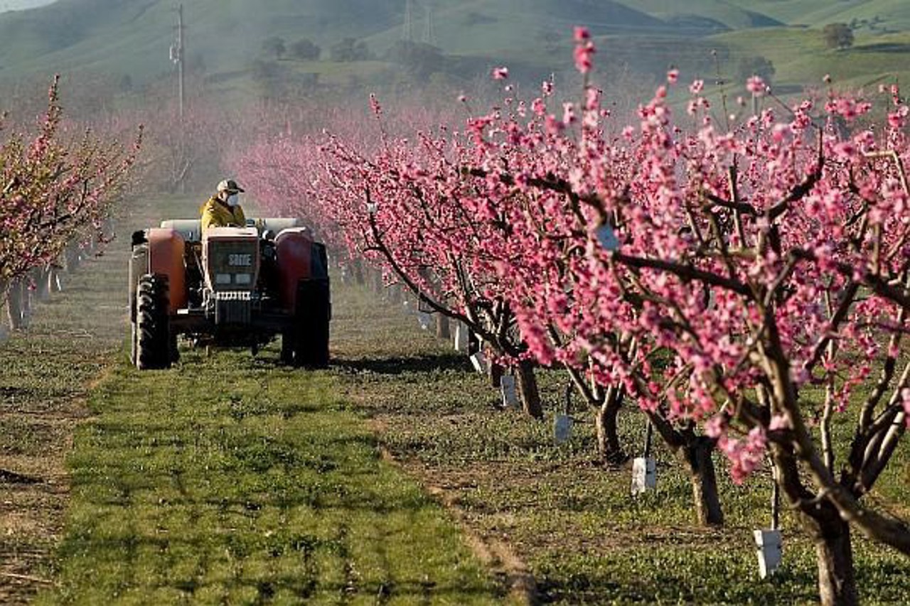 Noi oportunități de finanțare pentru agricultori: Până la jumătate de milion de lei cu dobândă fixă de 5.1% anual pentru cheltuieli curente