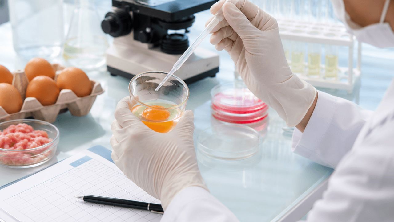 Focar de toxiinfecție alimentară într-un hotel din centrul Chișinăului: Șapte din cei 26 de participanți, confirmați cu Salmonella 