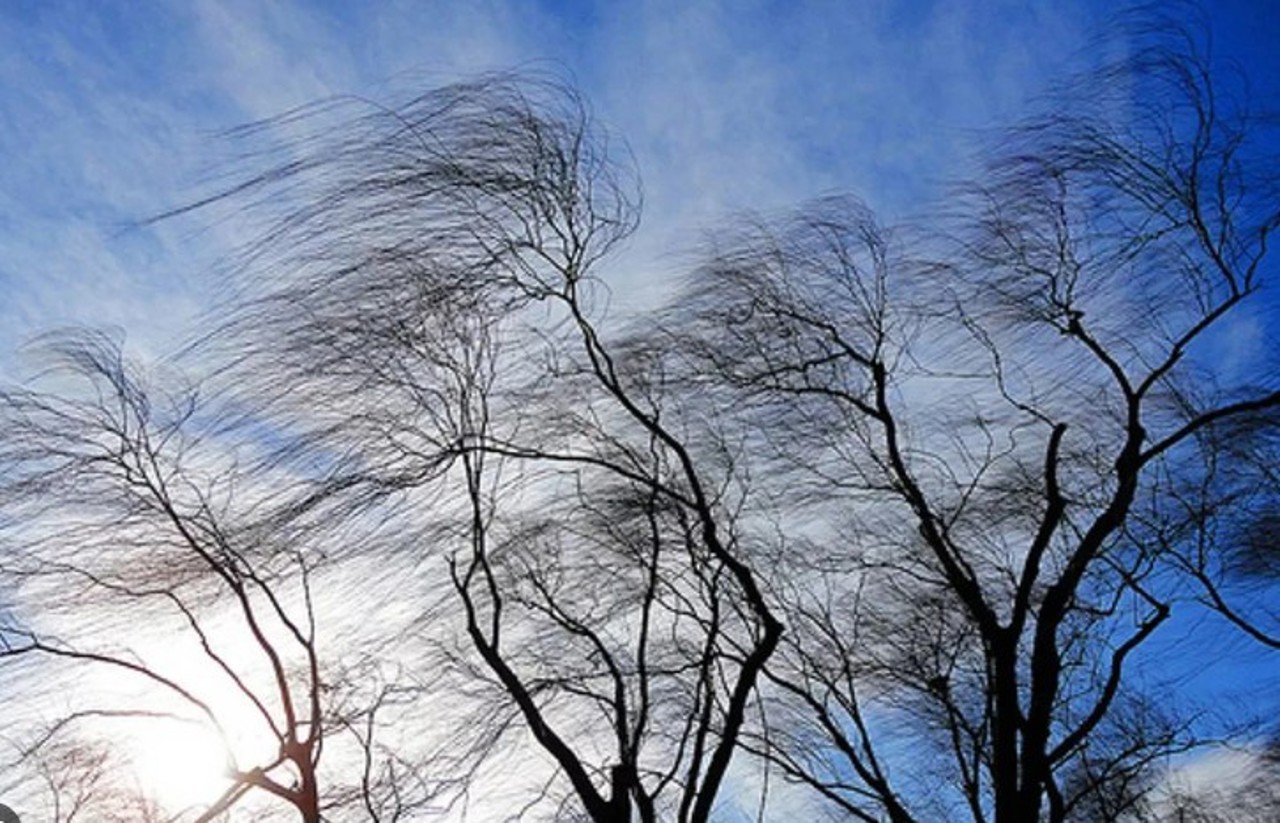 Синоптики объявили желтый код метеоопасности из-за усиления ветра