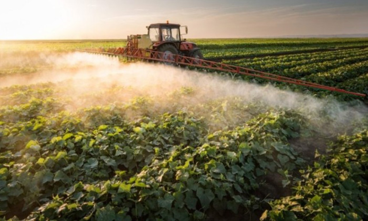 Peste două mii de tone de pesticide, utilizate anual în R. Moldova: Exces de chimicale în mai multe regiuni