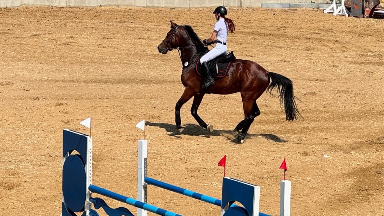 Forță și grație în galop: Cupa Națională de Hipism a adunat cei mai buni călăreți la Grătiești