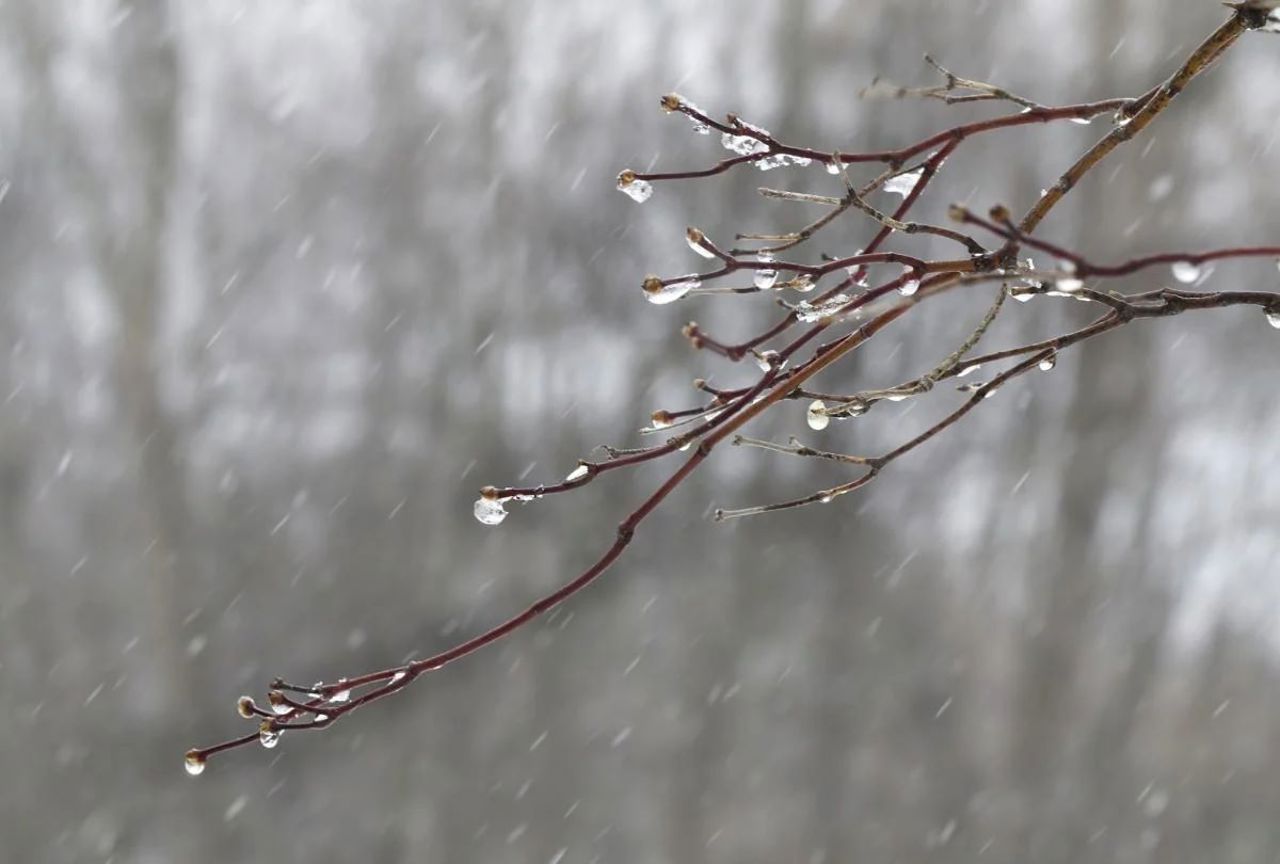 Vremea se răcește brusc. Ce temperaturi ne așteaptă în acest sfârșit de săptămână