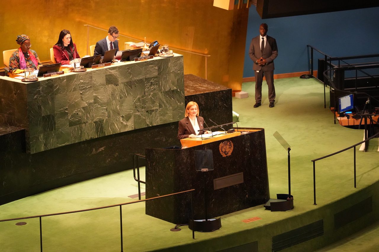 Ludmila’s case raised at UN; Doina Gherman calls for stronger prevention and protection